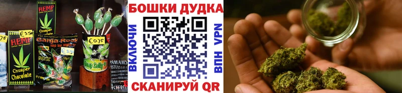 Купить  Сердобск  Canna-Cookies конопля 