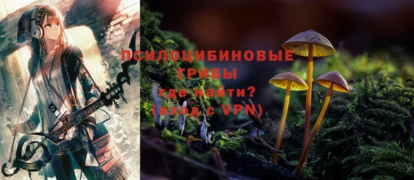 МДПВ Алзамай